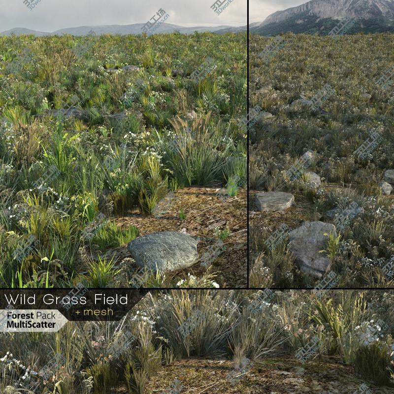 images/goods_img/20210313/Wild Grass Field (Real-time) 3D model/1.jpg